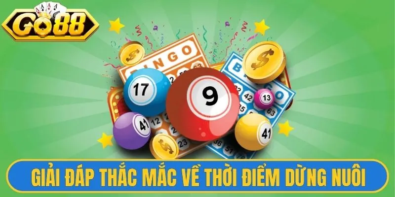 Giải đáp thắc mắc về thời điểm dừng nuôi